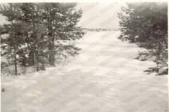 V163