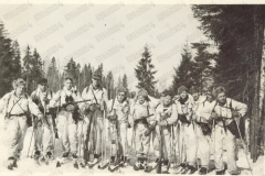 V173