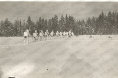 V191
