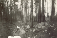 V195