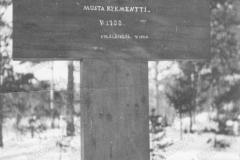 V203