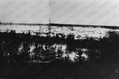 V265