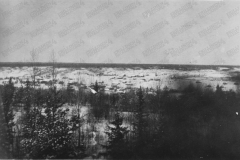 V266